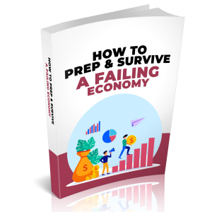 How to Prep & Survive a Failing Economy