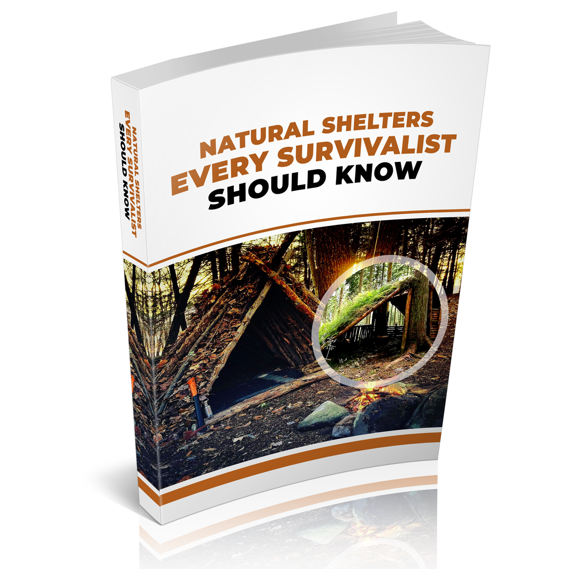 Natural Shelters Every Survivalist Should Know